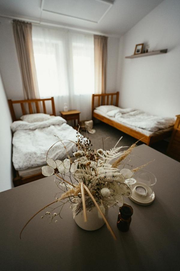 Pod Kopcem - Apartment